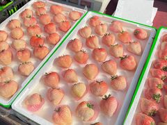 -得胜市场鸡排卷饼(红运·广厦新居店)