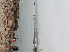 -小麦岛公园