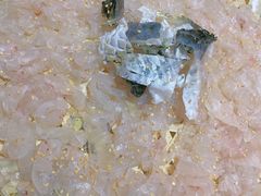 -官塘陈记鱼生·潮汕砂锅粥·牛肉火锅(潮枫路总店)