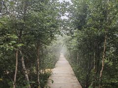 -白草畔自然风景区