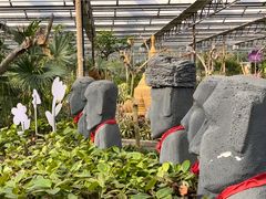 -南宫五洲植物乐园