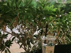 -布吉佳兆业广场