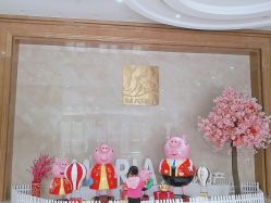 -玛丽亚妇产医院