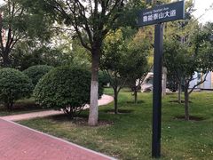 -山东鲁能乒乓球学校