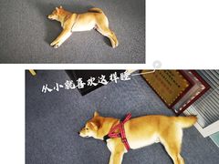 -爱乐蒙艺术·古筝 钢琴 声乐(科华校区)