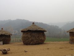 -千年银杏谷文化旅游区