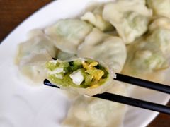黄瓜素水饺-船歌鱼水饺(高新园区店)