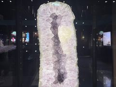 -中国地质大学逸夫博物馆