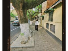 -颐和路民国时期公馆风貌区