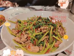 -壹盏灯(惠农店)