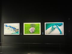 -罗红摄影艺术馆