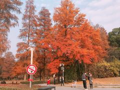 -东湖磨山景区