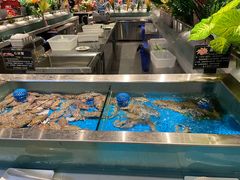 水产区-SEA西雅图海鲜自助餐厅(海乐世界店)