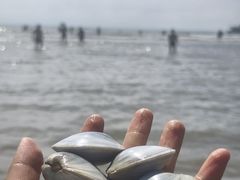 -青岛第一海水浴场