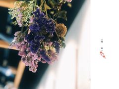 -囿面传统制面馆(中央路店)