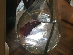 -臻味私厨(国际社区店)