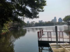 -荔湾湖公园