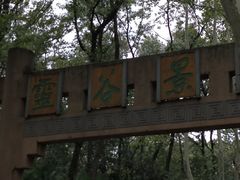 -灵谷景区
