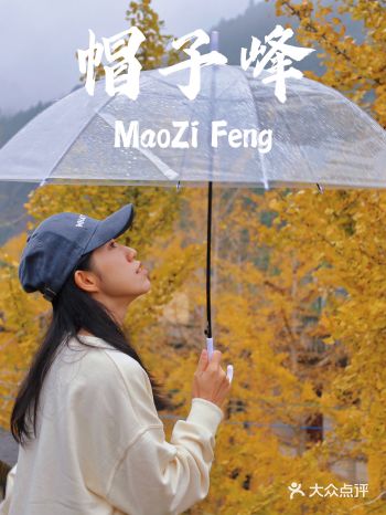 南雄银杏叶黄了帽子峰避开人群高峰攻略