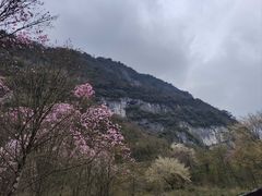 -九皇山景区