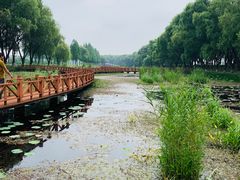 -洪湖生态旅游区