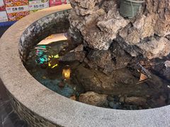 -都江堰石锅鱼