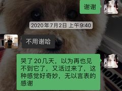 -奈斯宠物医院·核磁CT·异宠专科·内镜(中南店)