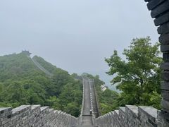 -黄贤森林公园