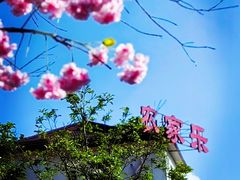 -杨厝六十六农庄农舍(杨厝路店)