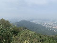 -紫金山山顶公园