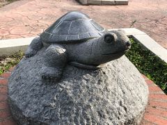 -黑龙江省森林植物园