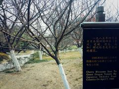 -西安青龙寺遗址景区