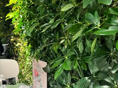 -巴厘龙虾·榜首油焖大虾(洞庭·艺术洋房店)