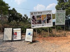 -Torch Coffee 炬点咖啡