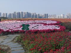 -汉江湾体育公园