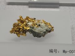 -湖南省地质博物馆