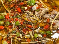 -盐与味葱葱鲫鱼•自贡菜江湖菜(春熙店)