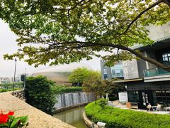 -深圳湾公园(南山区)