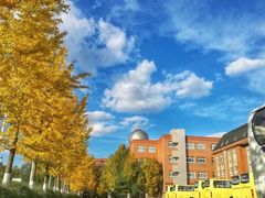 -北京市海淀外国语实验学校