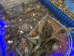 -云海轩·海鲜自助-河北云瑧世纪大饭店1F