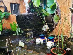 -园林美食城·本土农家菜(杨和镇店)