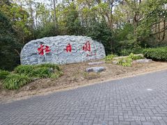 -上海海湾国家森林公园