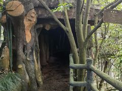 -磐安十八涡风景区