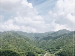 -宁波浙东大竹海景区