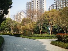 -南翔镇银翔湖公园