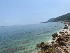 -杨梅坑