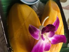 -Jungle Kitchen