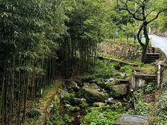 -莫干山风景区