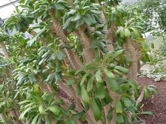 -南通洲际绿博园