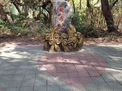 -北海金海湾红树林生态旅游区